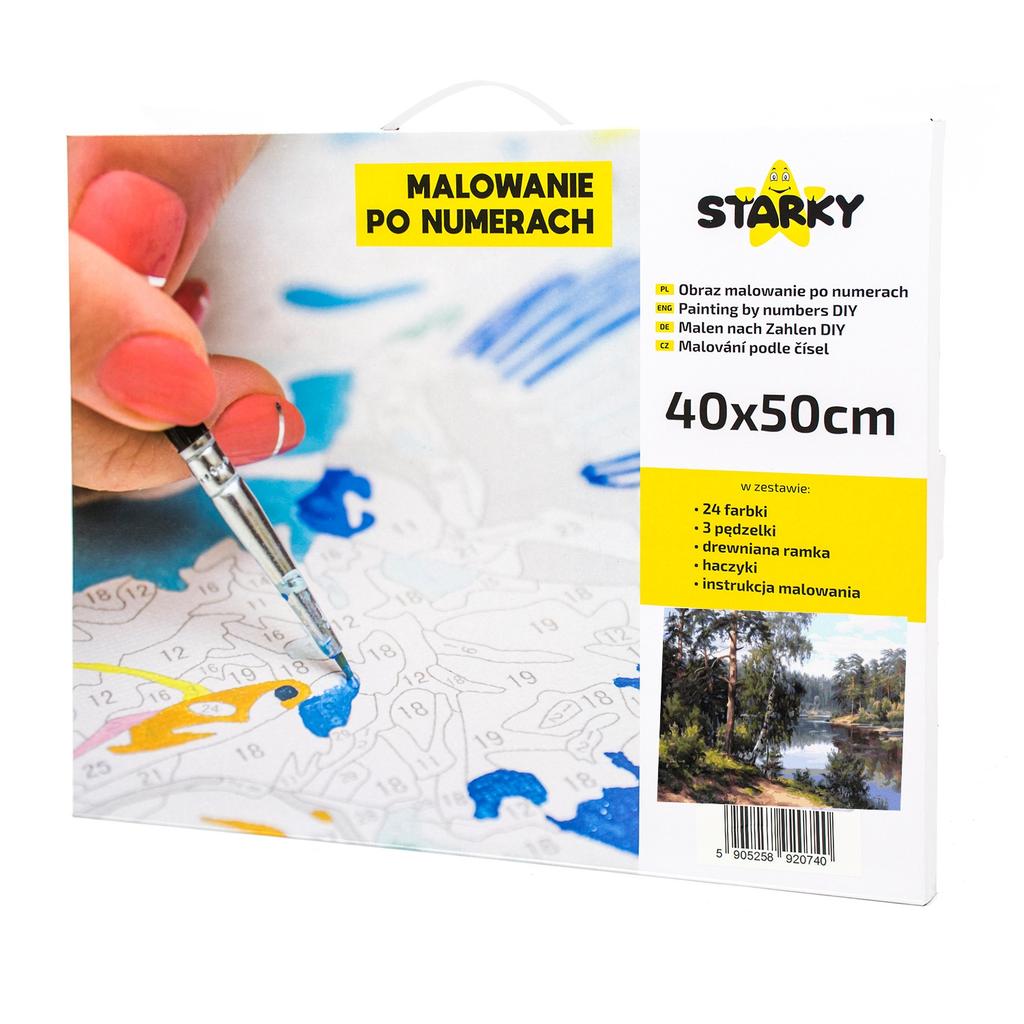 Painting by Numbers for Adults Canvas Picture with Frame Creative Gift