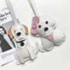 Giyim ve ayakkabı – Köpek Aksesuarları