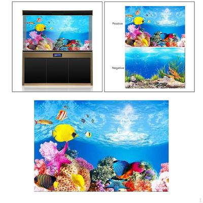 Poissons et animaux marins – Décoration d’aquarium