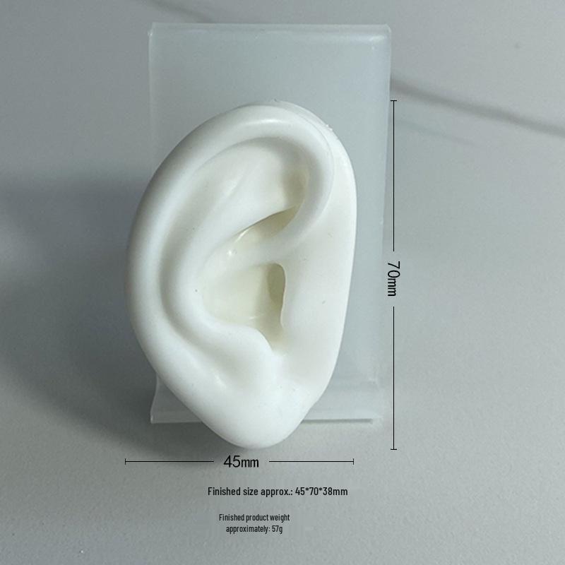 

Silicone Human Ear Model for Piercing Practice and Display Food grade silicone, milky white mold