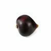 GuCra Fig Fruit Model, 10-Pack Food Sample (EX)