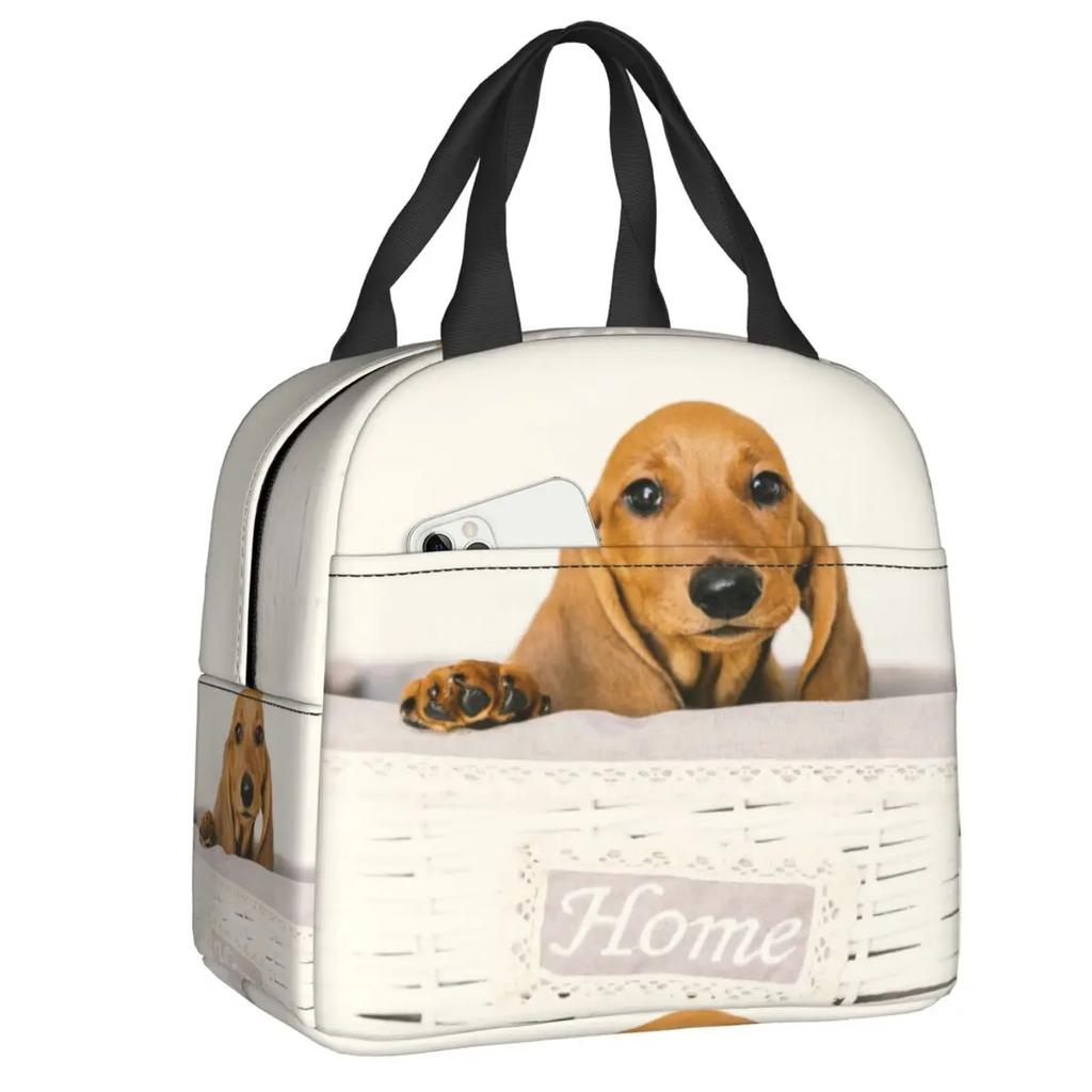 Dachshund Thermal Insulated Lunch Bag Women Badger Sausage the Wiener Dog Lunch Tote for Outdoor Camping Travel Storage Food Box
