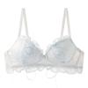 Japanese Lolita Princess Wind Strap Design Girl Desire Lace Underwear Small Breasts Gather Bra Women's Bra Set