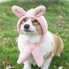 Plush Pet Hat for Ear and Head Protections Halloween Funny Ear Dog Hat for Small Dogs Cats Warm Winter Headgear Hat