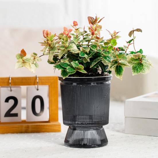 Self Watering Planter Pots African Violet Pots for Indoor Outdoor Windowsill Garden Modern Plastic Plant Pot with Wick Rope And Reservoir