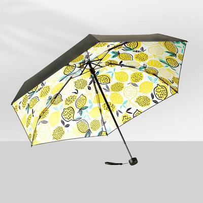Accessoires – Regenschirme