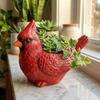 Resin Lively Bird Plant Pot with Drainage Hole Hummingbirds Bird Shaped Planter Wide Opening Novelty Style Succulent Planter