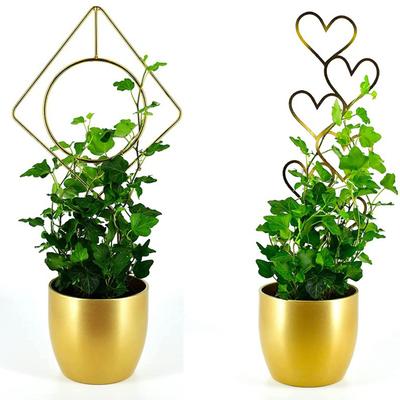 Estaca de Jardín de Hierro Para Planta Trepadora Soporte Decorativo para Plantas de Exterior Enrejado Metálico Fácil Instalación Resistente a la Intemperie