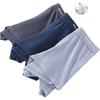 Hodo Modal Cotton Underwear for Men, Silk Antibacterial Crotch Seamless 3-Pack Boxer Briefs Breathable Invisible Men's Underwear