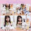 Adorable Plush Brown And White Bunny Toy For Cuddling And Snuggling, 24cm