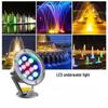 Stainless Steel Low-Voltage Underwater Light