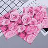 20pcs/Pac 33*33cm 2-Ply Disposable Party Napkin Floral Pattern