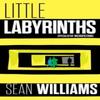 Little Labyrinths by Sean Williams Paperback Book 9781922479143