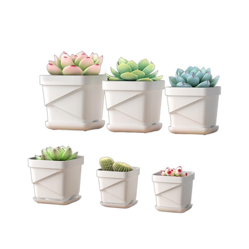 Exquisite Square Succulent Pots with Breathable Plastic Base for Office