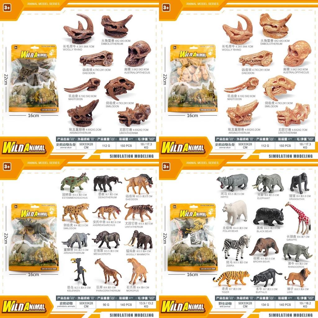 Detailed Plastic Primate Mammal Skull Replica Unique Educational Display For Collectors