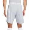 Nike Dri-FIT ADV Sport Quick-Dry Striped Elastic Waist Mid-Rise Casual Shorts Men shorts IR8429-100