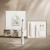ApiYoo T11-A Sonic Electric Toothbrush CN plug (adapter included)