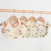 Ruffle Baby Drool Bibs: Pure Cotton Printed Lace Bibs