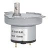 100RPM Synchronous Motor High Torsion Electric Micro Speed Reduction Geared Motor DC 12V