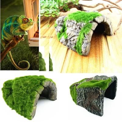 Reptile Box Tortoise Avoiding The Nest Cave Landscape Spider Turtle Realistic Moss Cave Flocking Tur