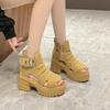 Fashion Thick soled Roman sponge cake hollowed out cool boots, fish mouth high heels, summer casual and comfortable sandals for women