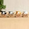 4Pcs Mini Cute Landscape Cardboard Box Cat Ornaments Garden Kitten Statue Gift for Animal Miniature Figurines Home Decoration