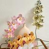 Customizable Floral Decor Fake Flower Decoration Phalaenopsis Artificial Flower