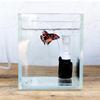 Silent Mini Water Pneumatic Filter for Fish Bowl Aquarium