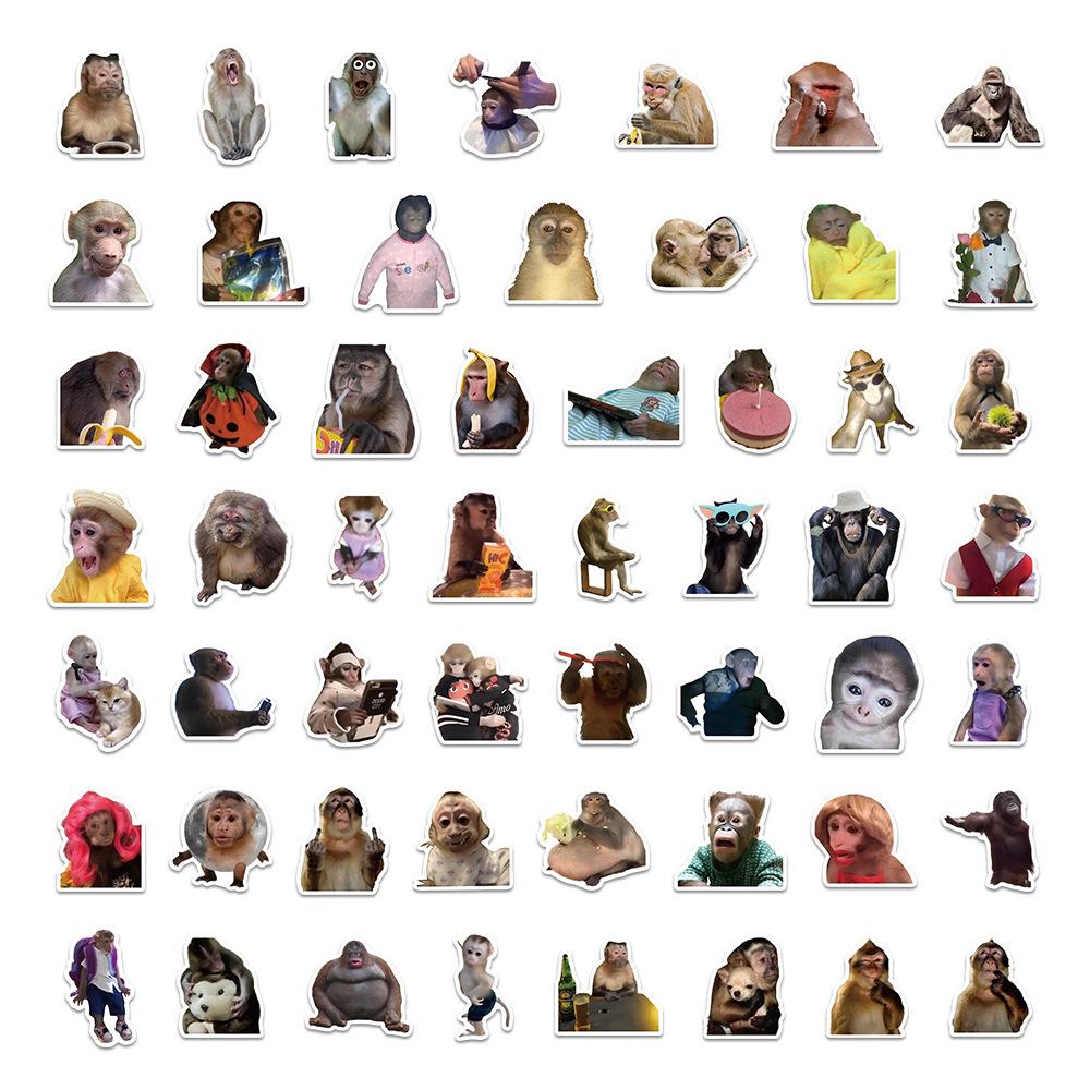 

54 Pieces Cartoon Monkey Doodle Stickers Set Various Expressions and Poses for Laptop Water Bottle Phone Decoration and Scrapbooking One Size