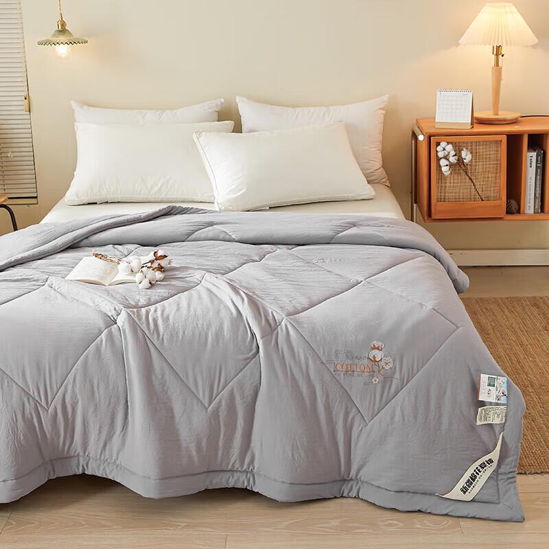 DZQ Xinjiang Cotton Washable Summer Quilt