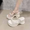 Slippers Versatile Gentle Temperament Fashionable Thick-soled Beach with Cool Slippers Women's Summer 2025 New Skirt Sandals