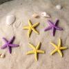 2 Pcs Mini Resin Starfish Ocean Decor Tiny Summer Starfish Figurine for Miniature DIY Crafts Fairy Garden Ornament Beach Party Home Decoration