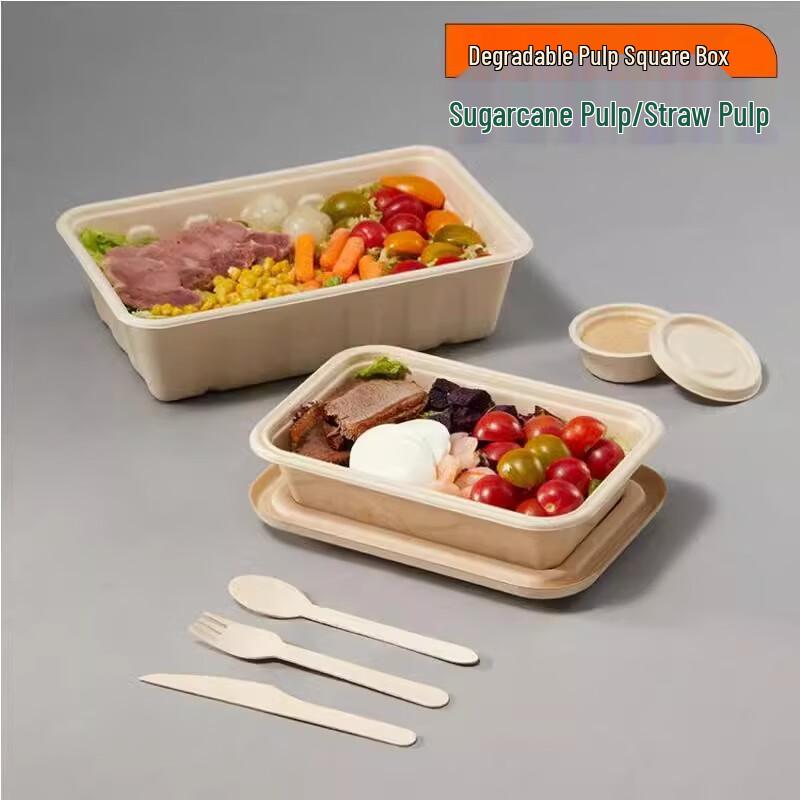 American Style Degradable Pulp Takeout Containers with Lids