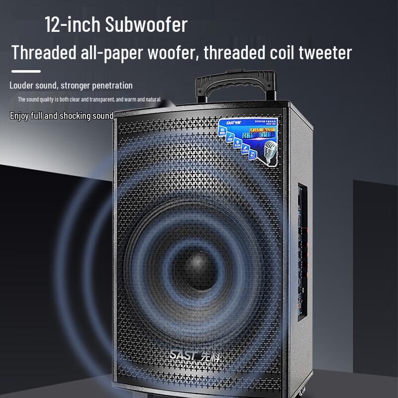 SAST SA-122 12-inch Portable Karaoke Speaker
