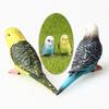 Artificial Est Parrot Bird Mini Animal Model Garden Lawn Yard Ornament Decor