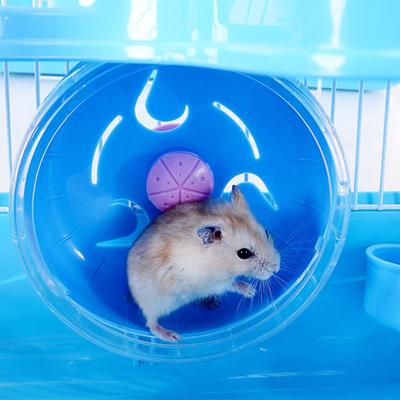 3 Katlı Evcil Hamster Kafesi Lüks Ev Taşınabilir Fare Yuvası Habitat Dekorasyonu
