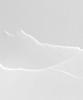 Daily Stem Cell Culture Lotion [Single Item]