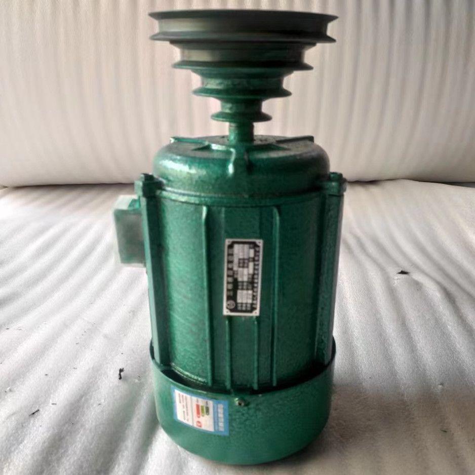 Motor de Coluna de Perfuração Trifásico de Velocidade Variável, 220V/380V, Motor de Indução Monofásico de 750W para Uso Doméstico