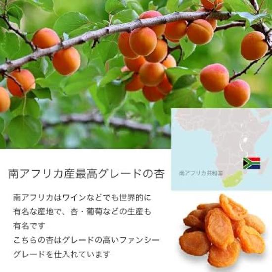 Kojimaya Dried Apricot 1kg South African Sugar Free Fancy Apricot Dried Fruit