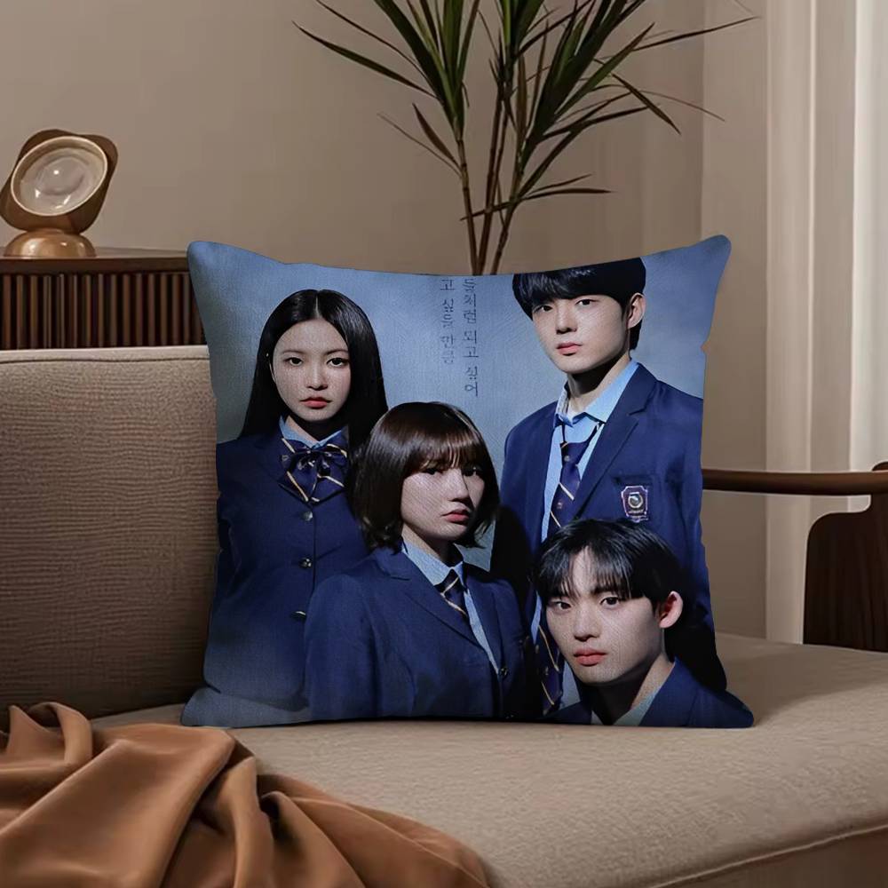 Hot Korea TV B-Bitch X R-Rich Pillow Case Anti-dustmite Pillowcase Invisible zipper silky short plush Sofa cushion cover