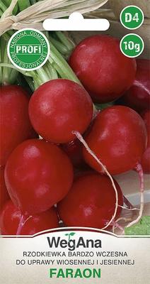 Pharaoh Radish 10g Radish Seeds -