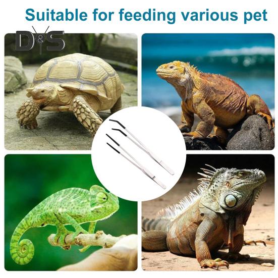 2 ks Nerezové kleště na krmení plazů s gumovou špičkou Dlouhá rovná zakřivená pinzeta Příslušenství k nádržím na dračí hady s vousy Potřeby pro terária