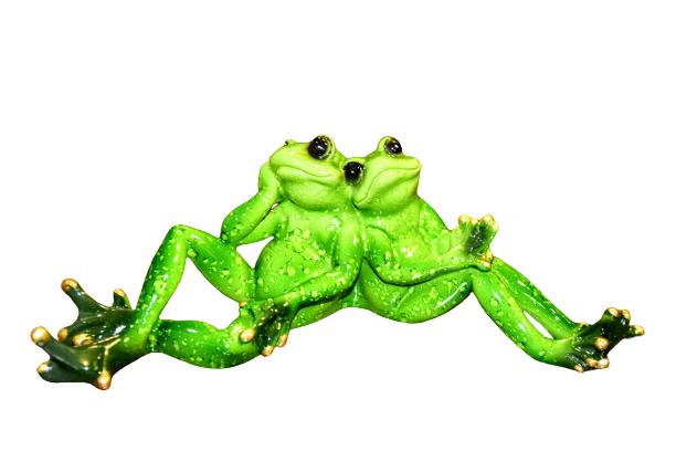 Figurine Two Frogs Friends Frog 8X23X8Cm