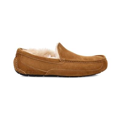 Slippers Chesnut Ascot