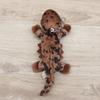 Take Off Keychain Salamander
