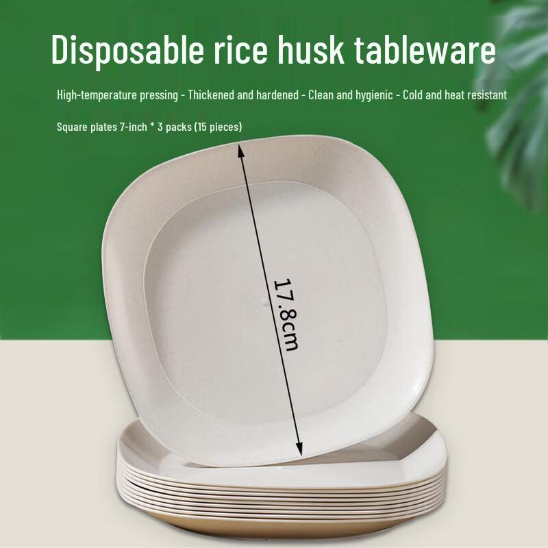 Homeglen Biodegradable Rice Husk Disposable Square Plates