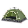 VidaXL Camping Tent 4 Person Green Quick Release, Tent, Camping Shelter, Garden Shelter, Garden Tent, Shelter 4004169