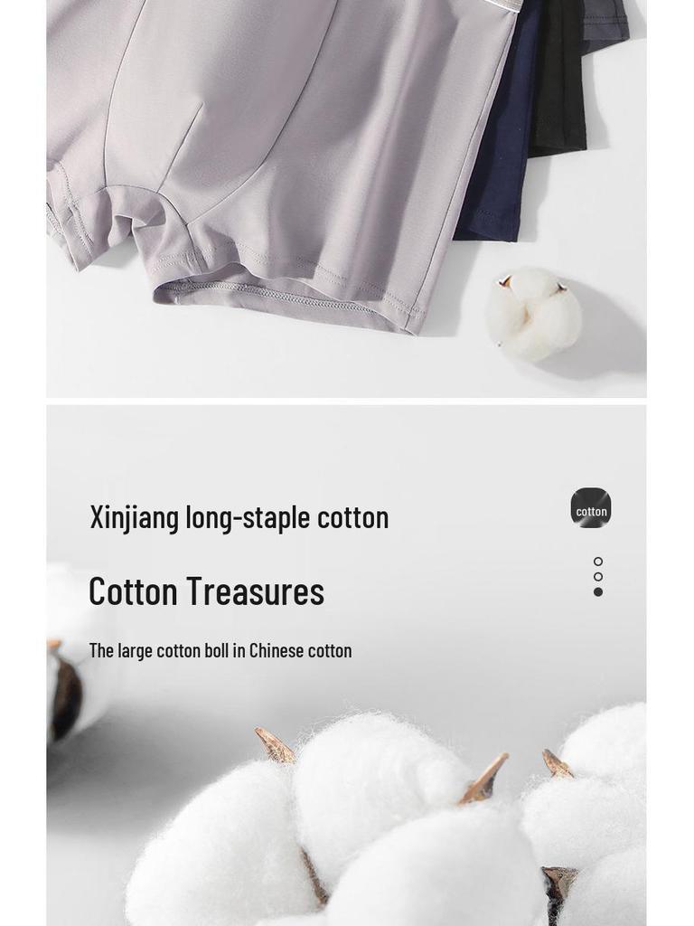 Men's Pure Cotton Summer Boxer Briefs - Thin Style, Widened Waistband, Comfortable, Breathable, Antibacterial, Class A.