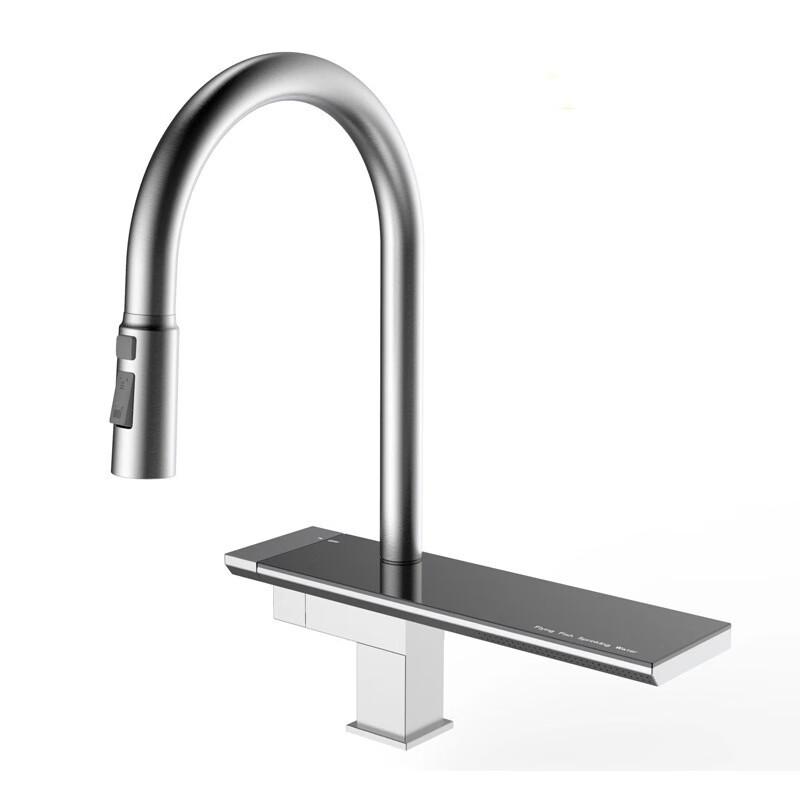 TLXT Stainless Steel Pull-Out Kitchen Faucet