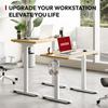 Electric Standing up Desk, Height Adjustable Electric Sit Stand Desk, Computer Desk Height Adjustable for Home Office Study Desk